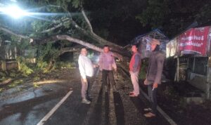 WhatsApp Image 2025-11-09 at 08.13.54