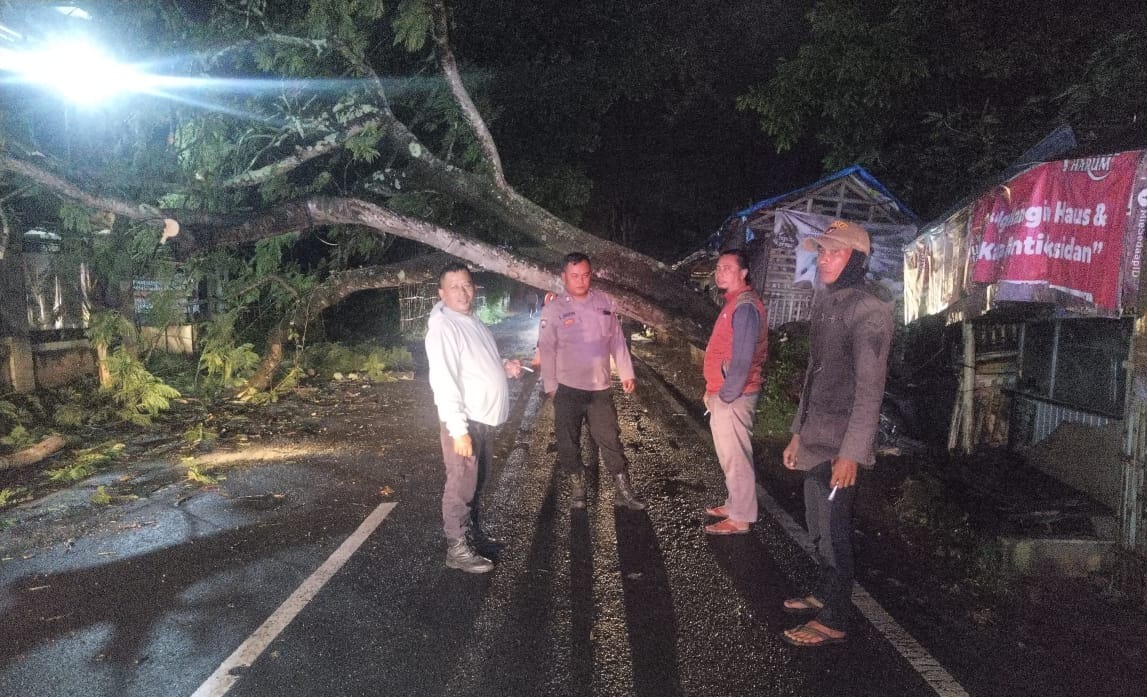 WhatsApp Image 2025-11-09 at 08.13.54