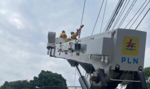 WhatsApp Image 2025-12-05 at 07.22.15