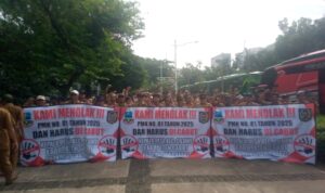 WhatsApp Image 2025-12-10 at 11.45.23