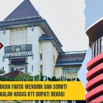 WhatsApp Image 2026-01-04 at 17.59.51