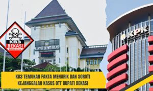 WhatsApp Image 2026-01-04 at 17.59.51