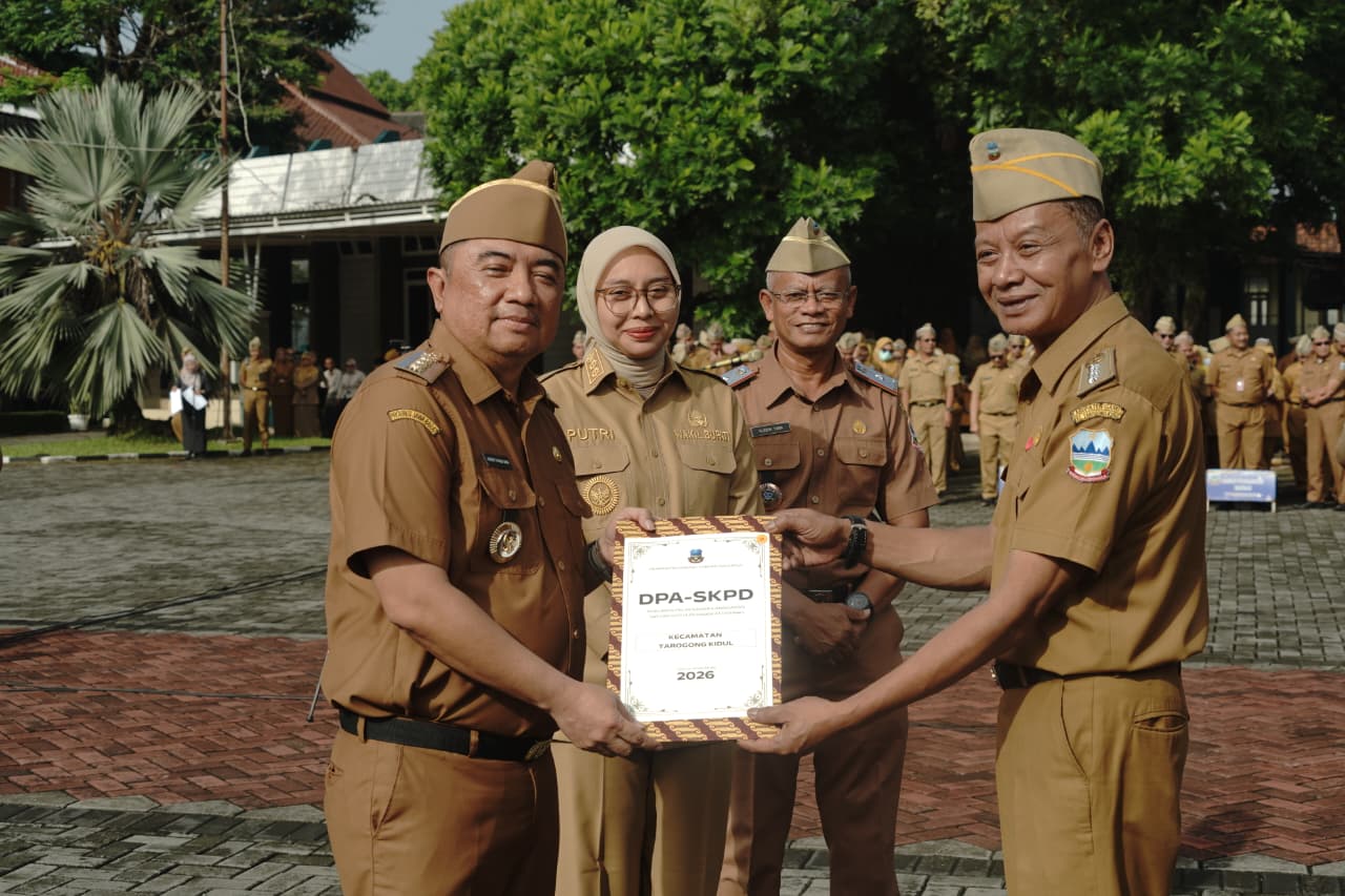 WhatsApp Image 2026-01-08 at 17.17.35