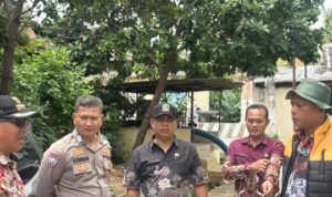 WhatsApp Image 2026-01-09 at 11.18.35